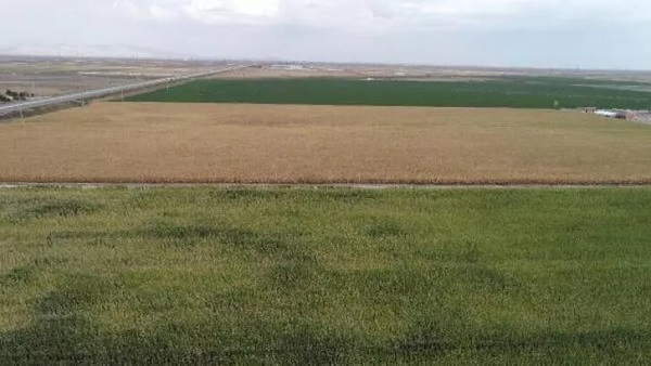 Foto - TOKİ arsa başvuruları ne zamana kadar yapılabilecek? TOKİ arsa başvuru şartları nelerdir? 