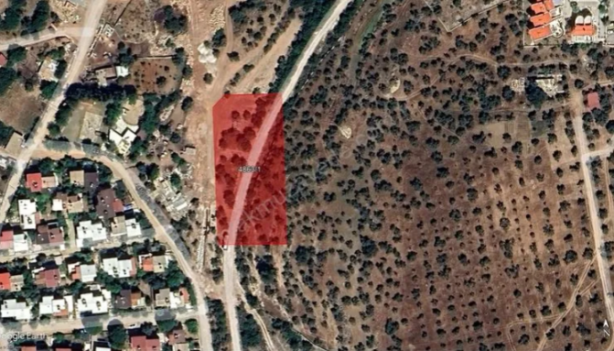 Foto - TOKİ BAŞVURU SON DAKİKA! Toki’den uygun fiyata arsa satışı