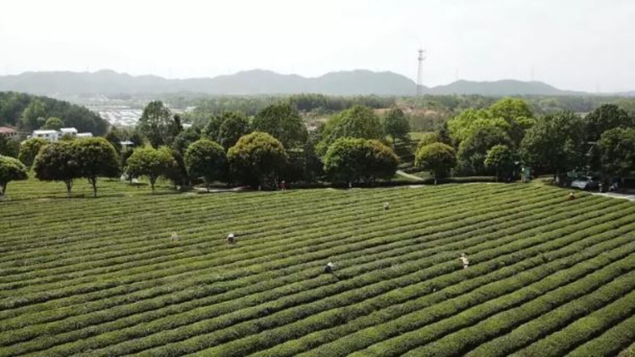 Foto - TOKİ'den 43 ilde taksitle dev arsa kampanyası! Başvuru tarihleri ve satış yapılacak iller belli oldu
