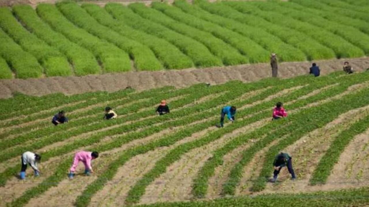 Foto - TOKİ'den 43 ilde taksitle dev arsa kampanyası! Başvuru tarihleri ve satış yapılacak iller belli oldu