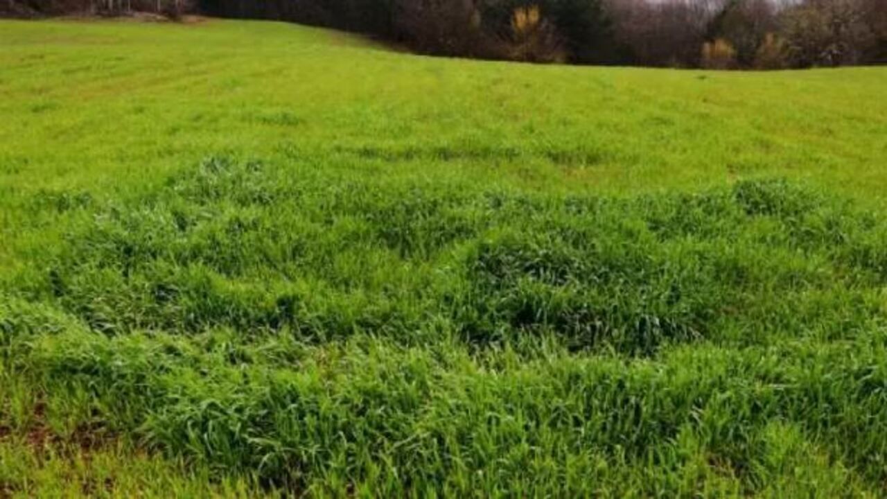 Foto - TOKİ'den 43 ilde taksitle dev arsa kampanyası! Başvuru tarihleri ve satış yapılacak iller belli oldu