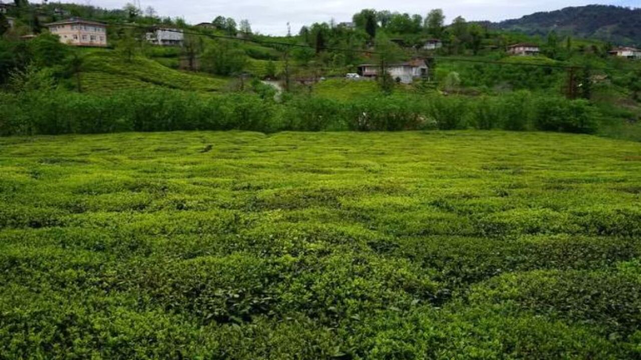 Foto - TOKİ'den 43 ilde taksitle dev arsa kampanyası! Başvuru tarihleri ve satış yapılacak iller belli oldu