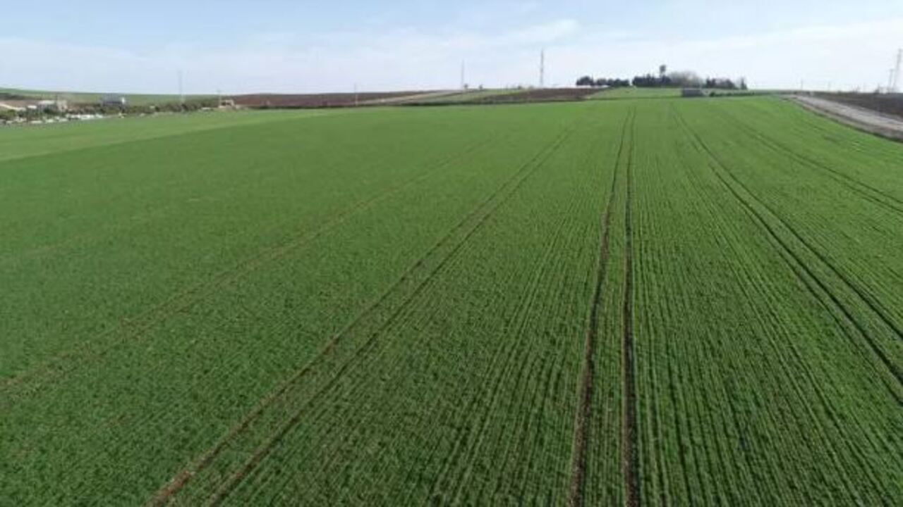 Foto - TOKİ'den 43 ilde taksitle dev arsa kampanyası! Başvuru tarihleri ve satış yapılacak iller belli oldu