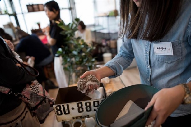 Foto - Tokyo'da sıra dışı konseptli cafe