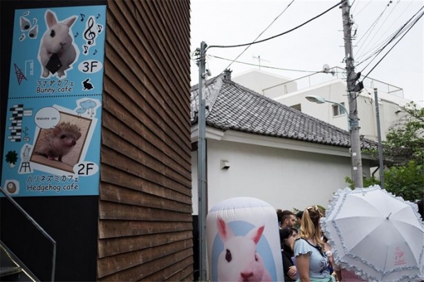Foto - Tokyo'da sıra dışı konseptli cafe