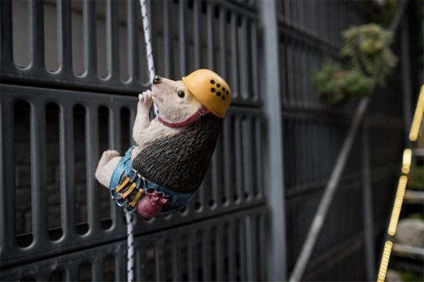 Foto - Tokyo'da sıra dışı konseptli cafe