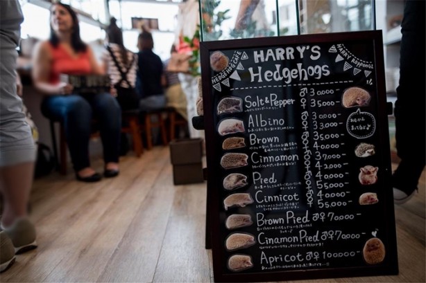 Foto - Tokyo'da sıra dışı konseptli cafe