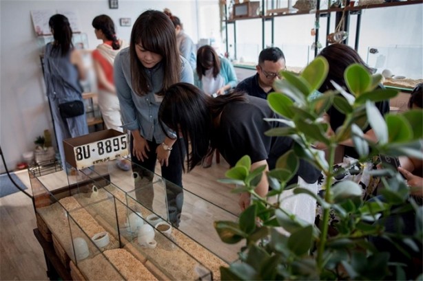 Foto - Tokyo'da sıra dışı konseptli cafe
