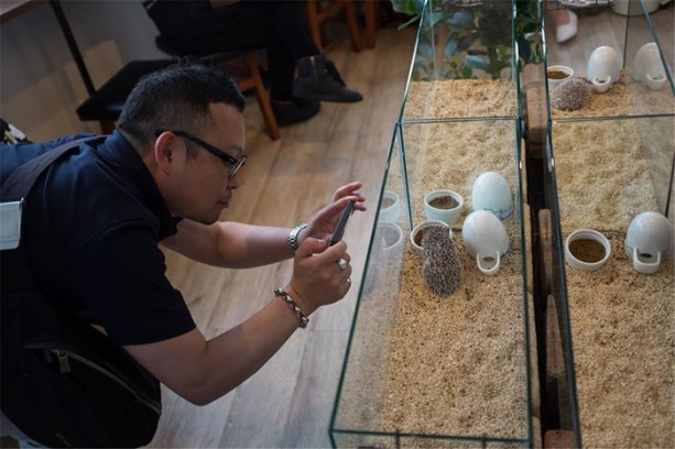 Foto - Tokyo'da sıra dışı konseptli cafe