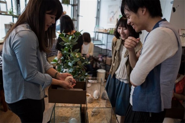 Foto - Tokyo'da sıra dışı konseptli cafe