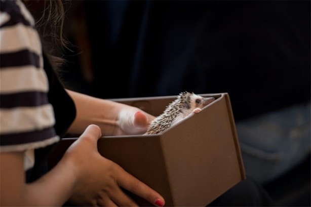 Foto - Tokyo'da sıra dışı konseptli cafe