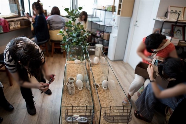 Foto - Tokyo'da sıra dışı konseptli cafe