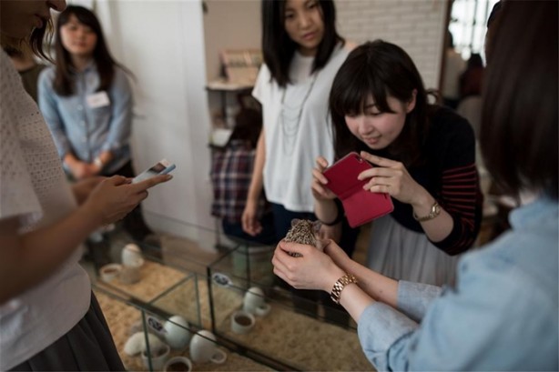 Tokyo'da sıra dışı konseptli cafe