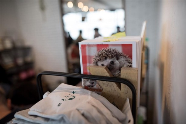 Foto - Tokyo'da sıra dışı konseptli cafe