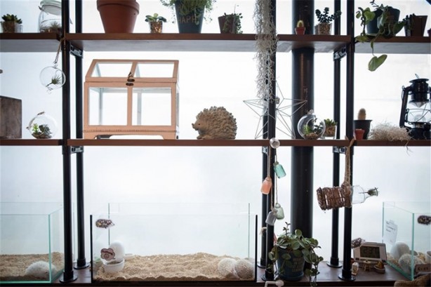 Foto - Tokyo'da sıra dışı konseptli cafe