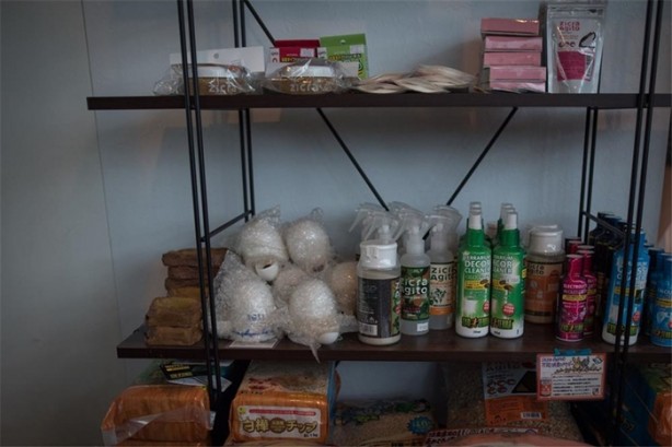 Foto - Tokyo'da sıra dışı konseptli cafe