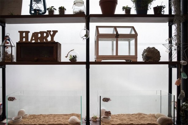 Foto - Tokyo'da sıra dışı konseptli cafe