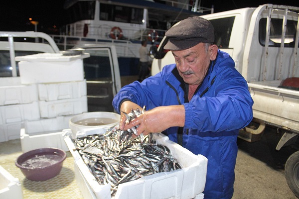 Foto - Tonlarca balık bir saatte tükeniyor