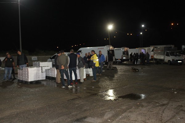 Foto - Tonlarca balık bir saatte tükeniyor