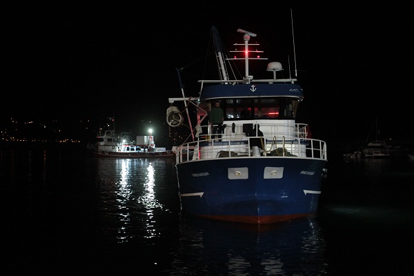 Foto - Tonlarca balık bir saatte tükeniyor