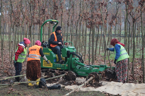 Foto - Tonlarca üretiliyor! Türkiye'de üretiliyor dünyayı yeşillendiriyor