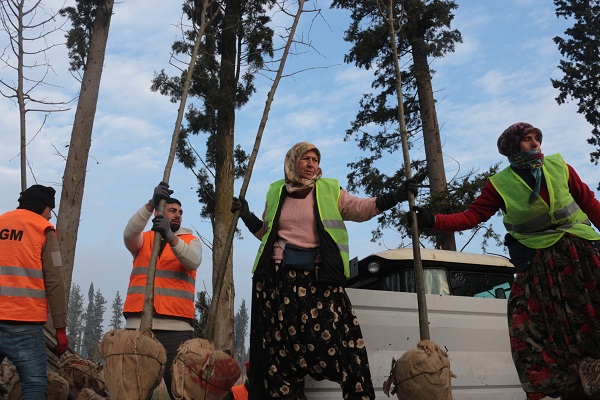 Tonlarca üretiliyor! Türkiye'de üretiliyor dünyayı yeşillendiriyor