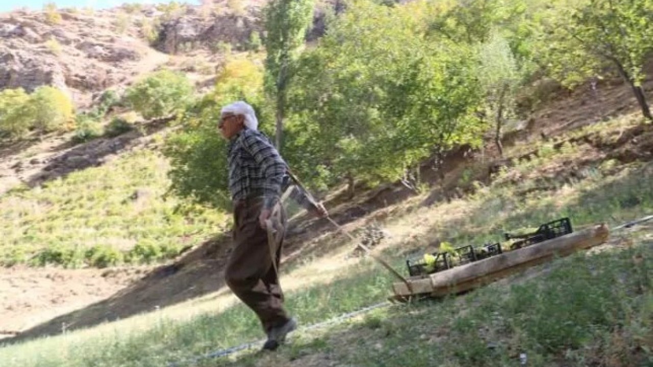 Foto - Tonlarca ürünü tek başına taşıyor! Yaşını duyan inanamıyor!