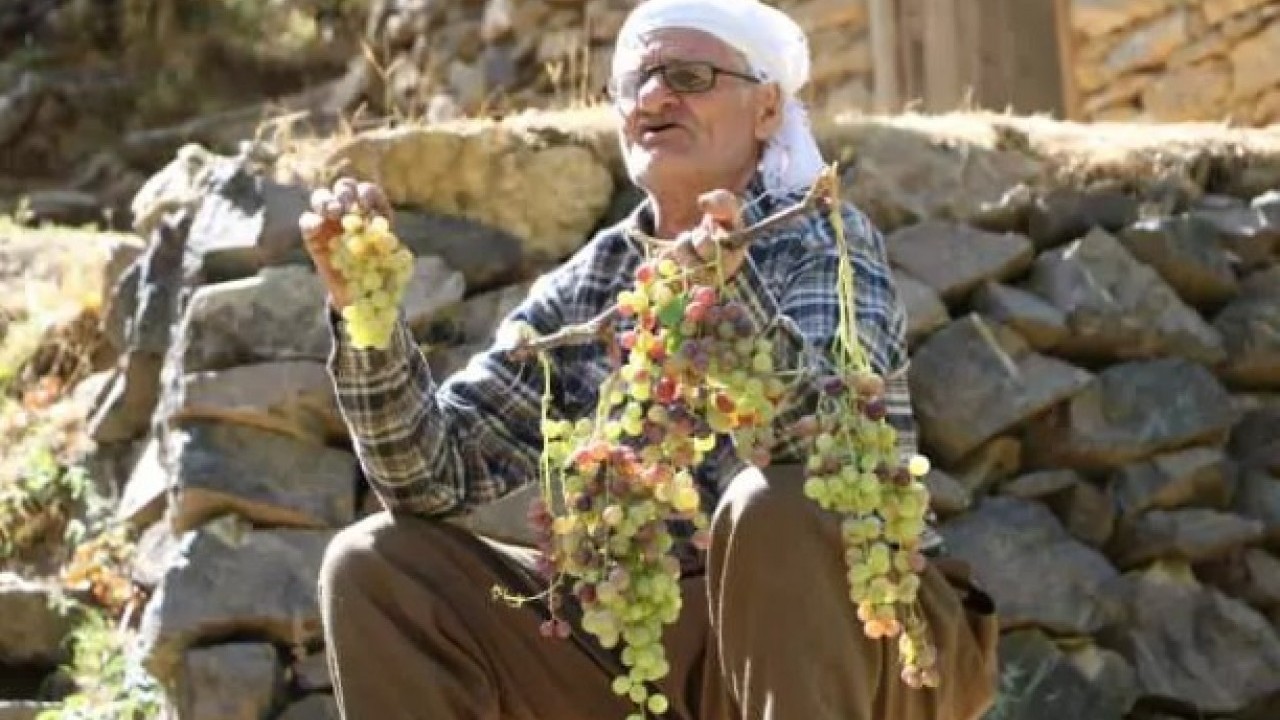 Foto - Tonlarca ürünü tek başına taşıyor! Yaşını duyan inanamıyor!