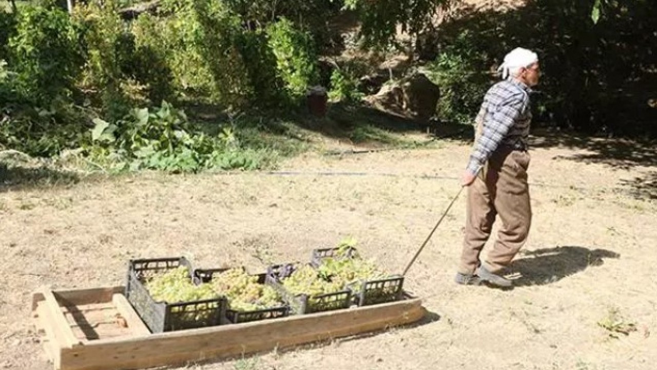 Foto - Tonlarca ürünü tek başına taşıyor! Yaşını duyan inanamıyor!
