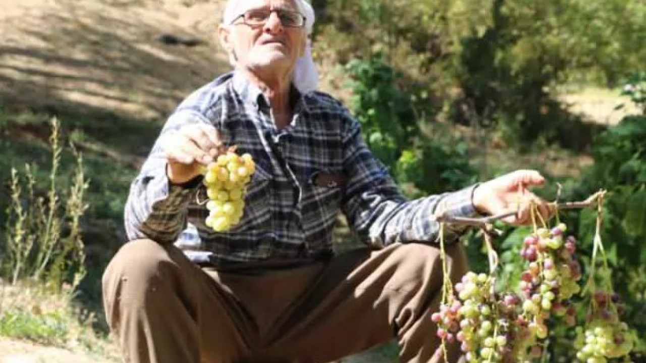 Foto - Tonlarca ürünü tek başına taşıyor! Yaşını duyan inanamıyor!