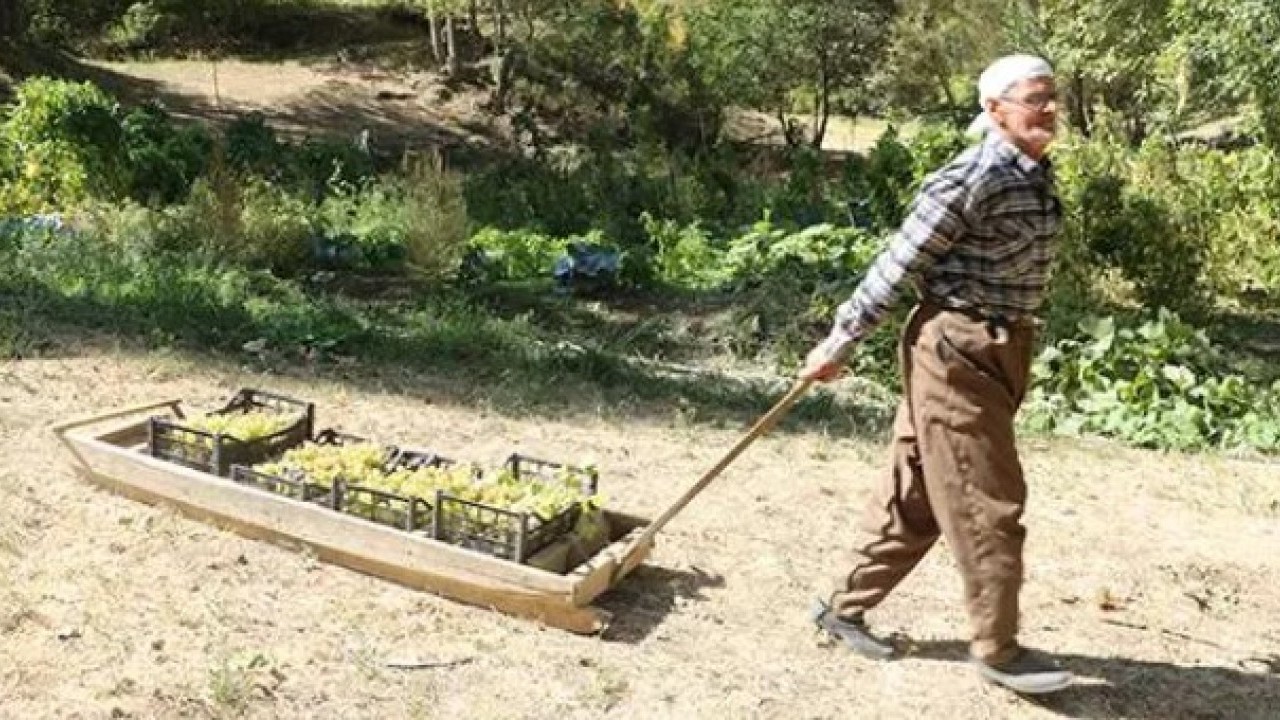 Foto - Tonlarca ürünü tek başına taşıyor! Yaşını duyan inanamıyor!