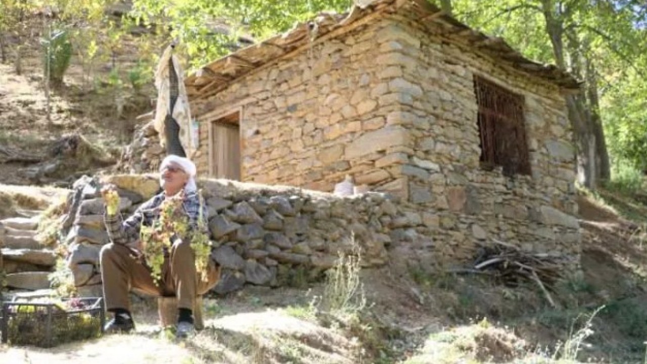 Foto - Tonlarca ürünü tek başına taşıyor! Yaşını duyan inanamıyor!