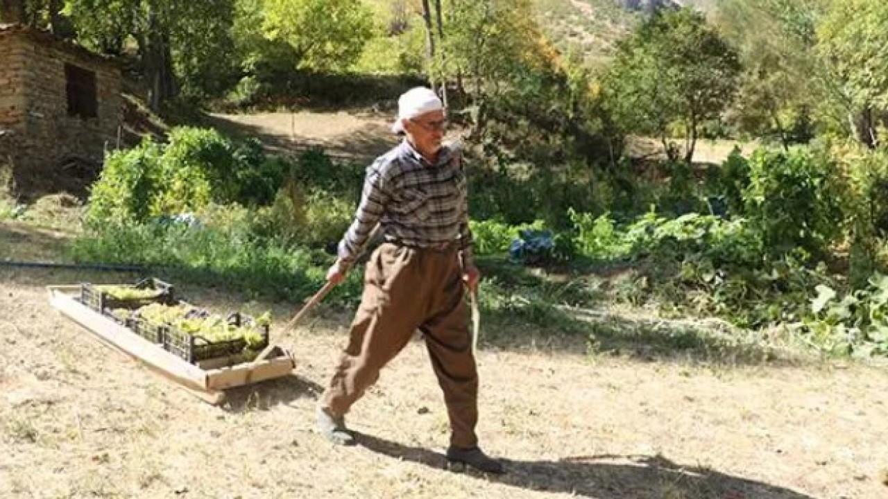 Foto - Tonlarca ürünü tek başına taşıyor! Yaşını duyan inanamıyor!