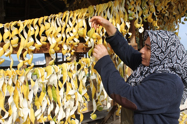 Foto - Tonlarcası çöpe gidebilir! Tazesinin kilosu 30 kuruş kurusu 17 lira
