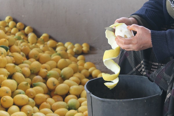 Foto - Tonlarcası çöpe gidebilir! Tazesinin kilosu 30 kuruş kurusu 17 lira