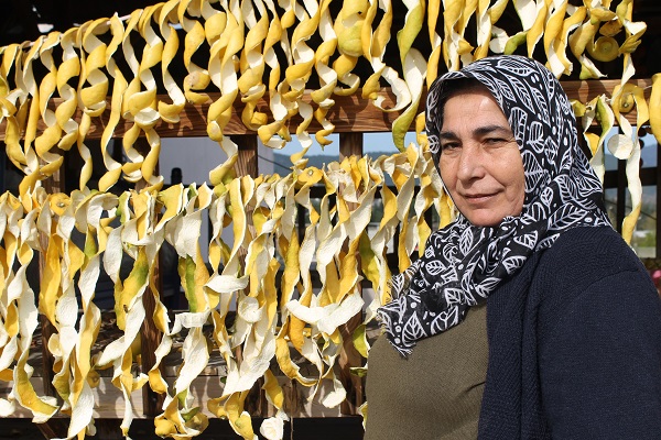 Foto - Tonlarcası çöpe gidebilir! Tazesinin kilosu 30 kuruş kurusu 17 lira