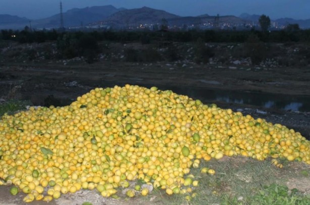 Foto - Tonlarcası dere yatağına döküldü... Yok böyle vicdansızlık!