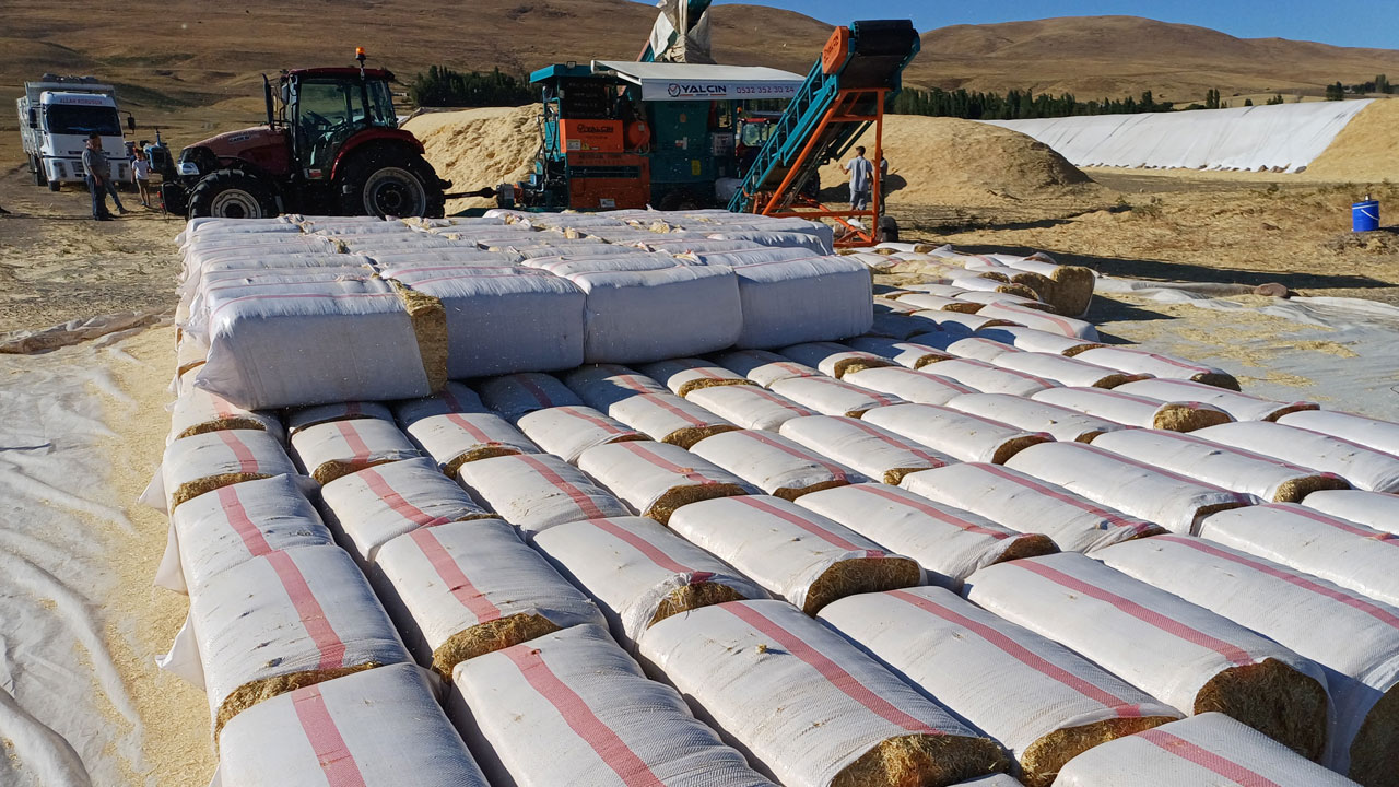 Foto - Tonu 2 bin lira! Geçen yıl çürüyordu, bu yıl altın değerinde