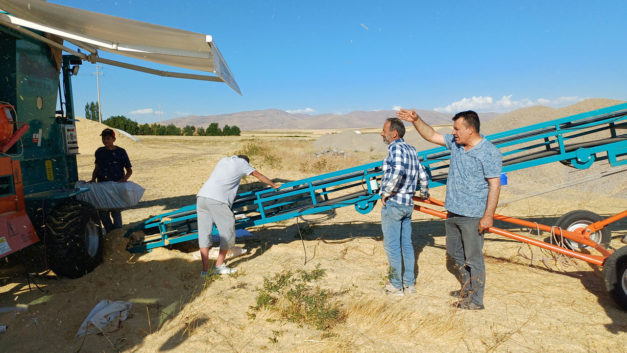 Foto - Tonu 2 bin lira! Geçen yıl çürüyordu, bu yıl altın değerinde