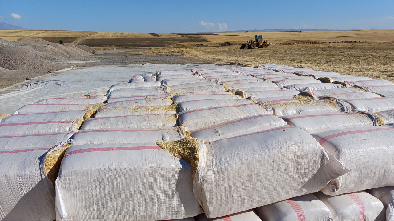 Foto - Tonu 2 bin lira! Geçen yıl çürüyordu, bu yıl altın değerinde