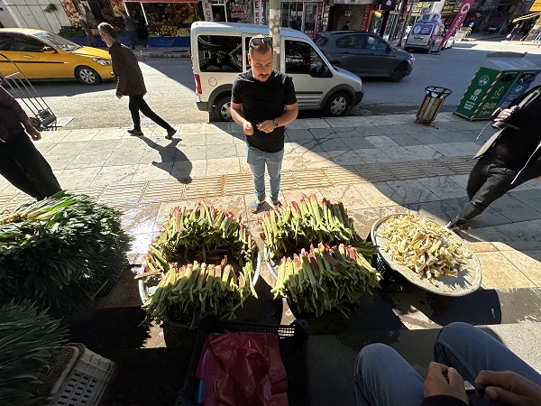 Foto - Toplaması çok zor ama... İyi gelmediği hastalık yok şifa deposu