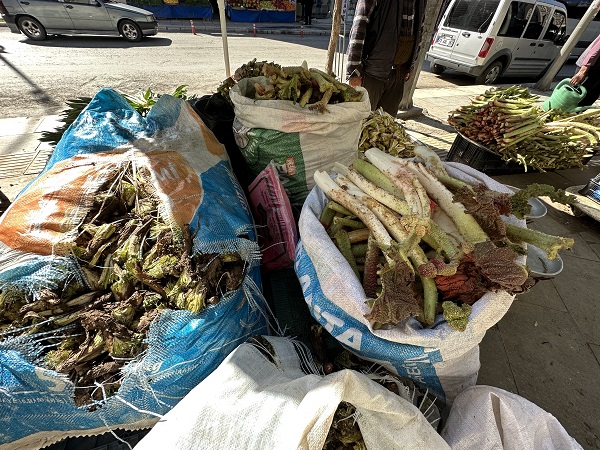 Foto - Toplaması çok zor ama... İyi gelmediği hastalık yok şifa deposu