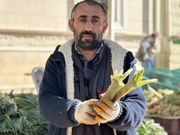 Foto - Toplaması çok zor ama... İyi gelmediği hastalık yok şifa deposu