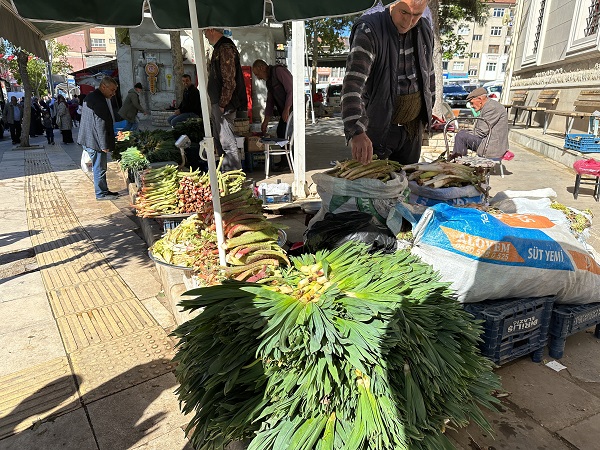 Foto - Toplaması çok zor ama... İyi gelmediği hastalık yok şifa deposu