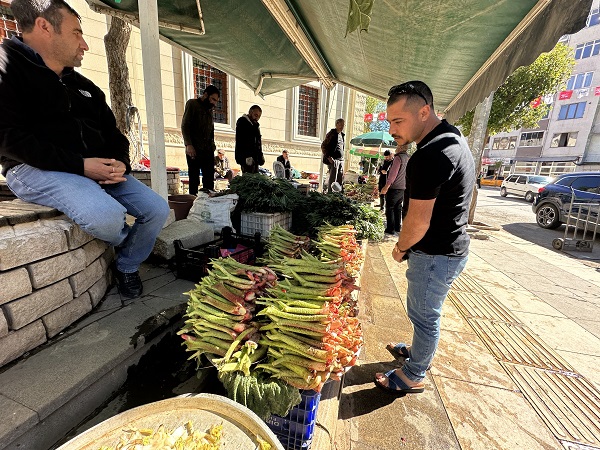 Foto - Toplaması çok zor ama... İyi gelmediği hastalık yok şifa deposu