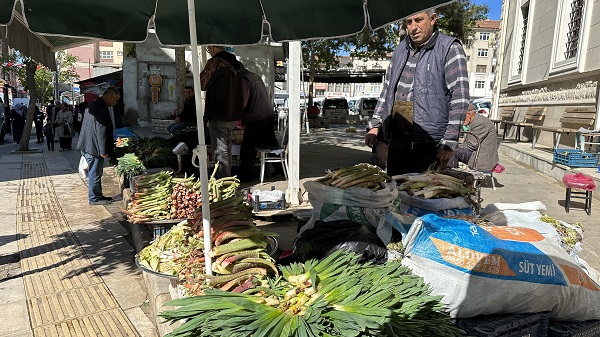 Foto - Toplaması çok zor ama... İyi gelmediği hastalık yok şifa deposu