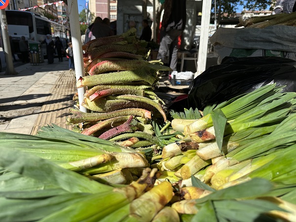 Foto - Toplaması çok zor ama... İyi gelmediği hastalık yok şifa deposu