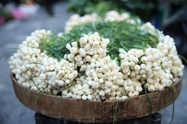 Foto - Toplaması zahmetli! Kilosu 30 TL’ye satılıyor