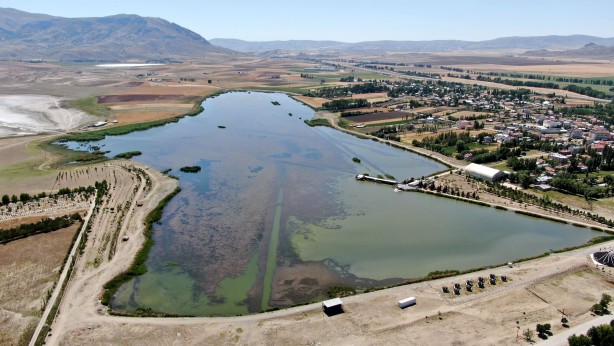 Foto - Toplu balık ölümleri endişeye neden oldu! İnceleme başlatıldı