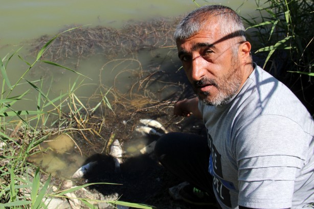 Foto - Toplu balık ölümleri endişeye neden oldu! İnceleme başlatıldı